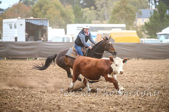 NimmitabelCampdraft2017_2500