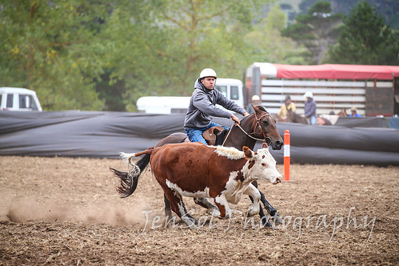 NimmitabelCampdraft2017_2396
