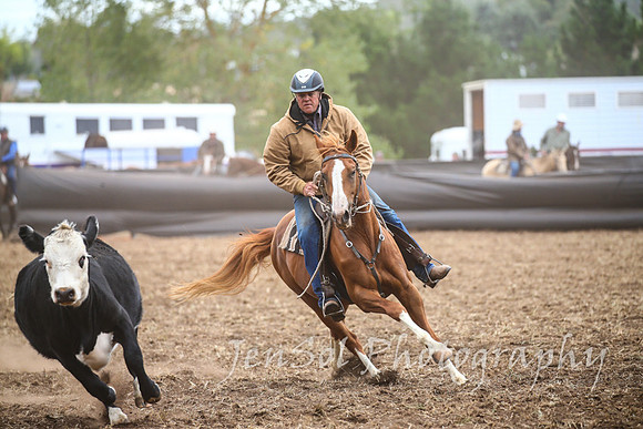 NimmitabelCampdraft2017_2660