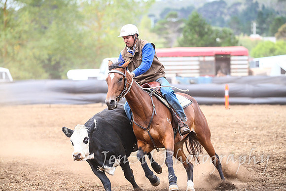NimmitabelCampdraft2017_3301