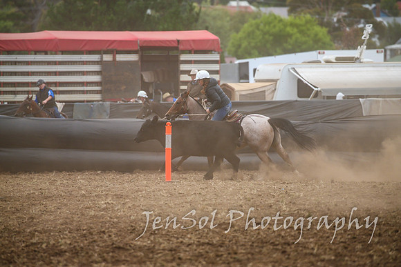 NimmitabelCampdraft2017_2463