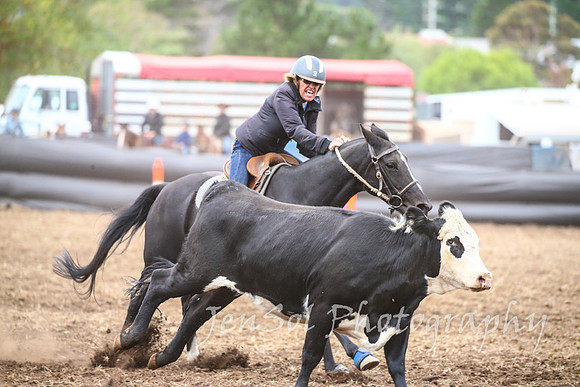 NimmitabelCampdraft2017_3336