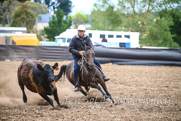 NimmitabelCampdraft2017_3721