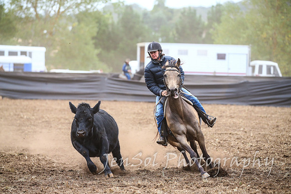 NimmitabelCampdraft2017_2275