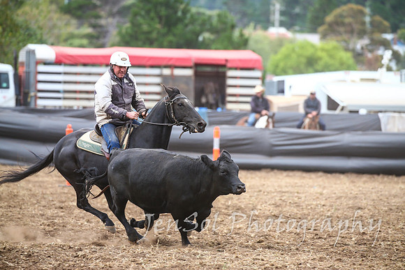 NimmitabelCampdraft2017_3117