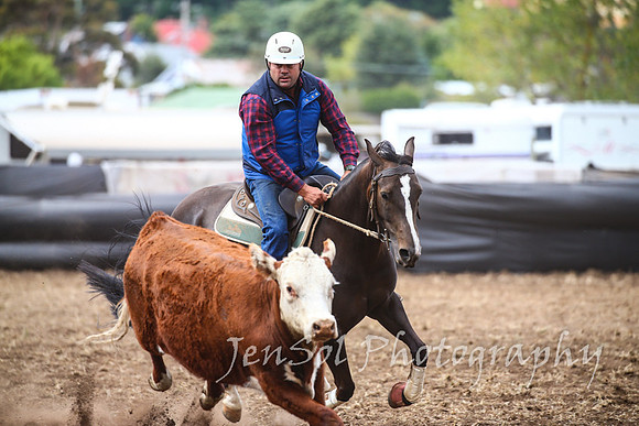 NimmitabelCampdraft2017_3067