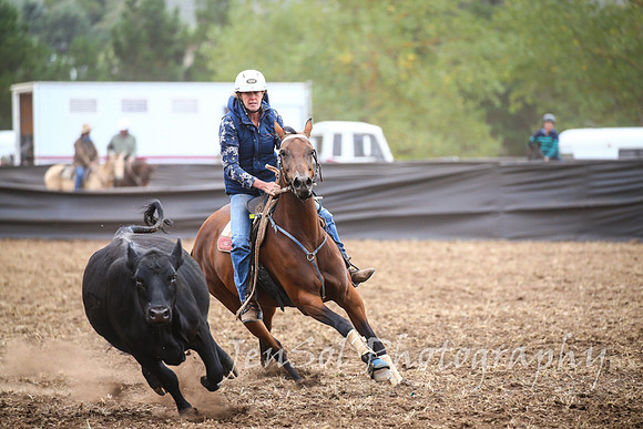 NimmitabelCampdraft2017_2678