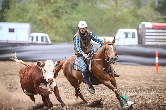 NimmitabelCampdraft2017_3092