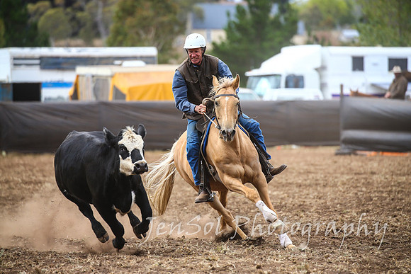 NimmitabelCampdraft2017_3097