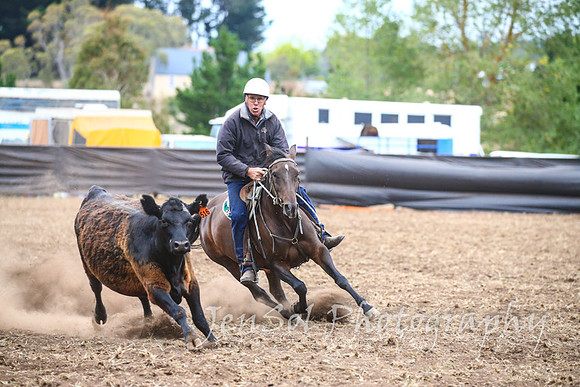 NimmitabelCampdraft2017_3714