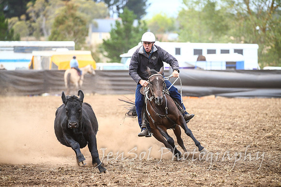NimmitabelCampdraft2017_3322