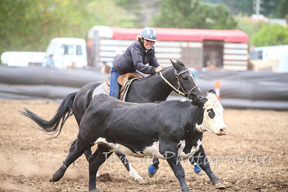 NimmitabelCampdraft2017_3337