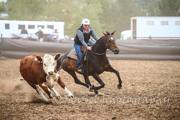 NimmitabelCampdraft2017_2513