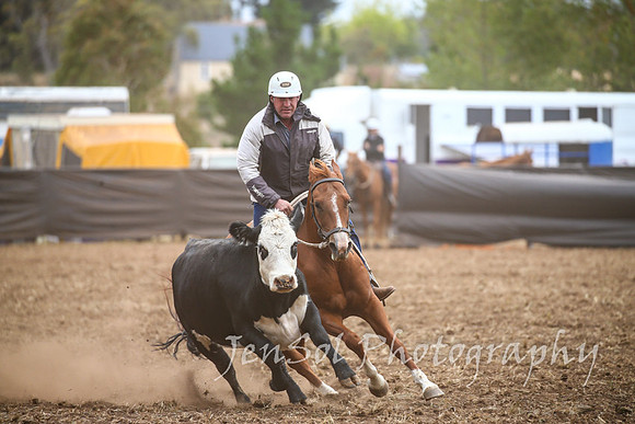 NimmitabelCampdraft2017_2305