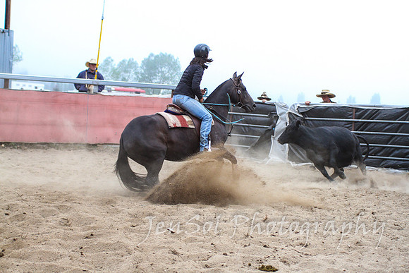 NimmitabelCampdraft20177D_3850