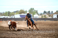 NimmitabelCampdraft2017_2175