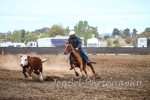 NimmitabelCampdraft2017_2175