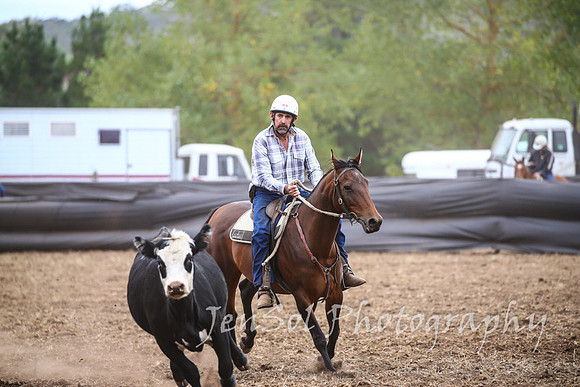 NimmitabelCampdraft2017_2620