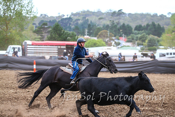 NimmitabelCampdraft2017_2569