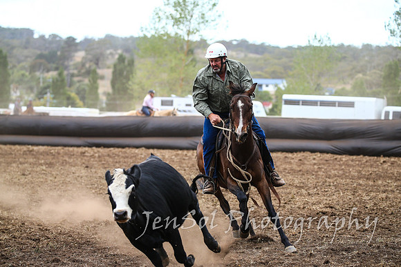 NimmitabelCampdraft2017_2589