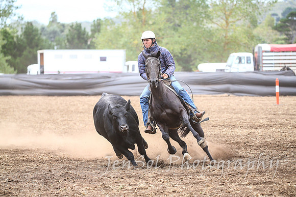 NimmitabelCampdraft2017_3219