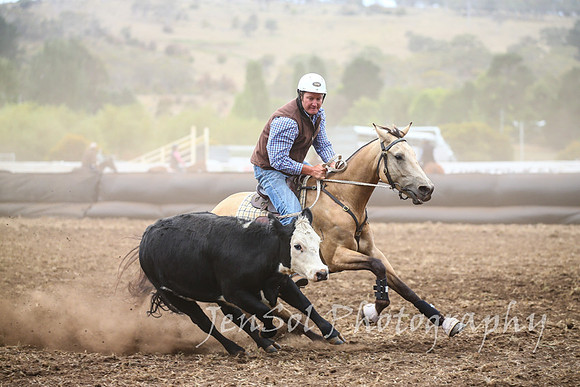NimmitabelCampdraft2017_2477