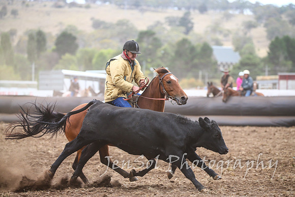 NimmitabelCampdraft2017_2650