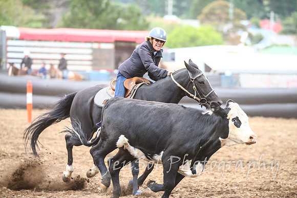 NimmitabelCampdraft2017_3343