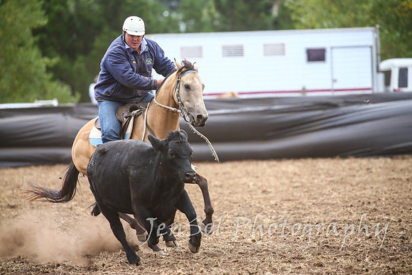 NimmitabelCampdraft2017_2782