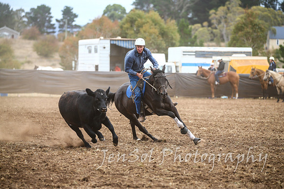 NimmitabelCampdraft2017_2361