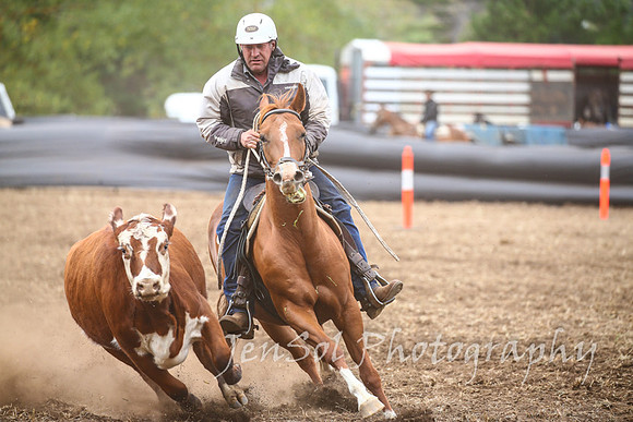 NimmitabelCampdraft2017_3325
