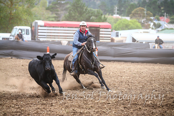 NimmitabelCampdraft2017_2341