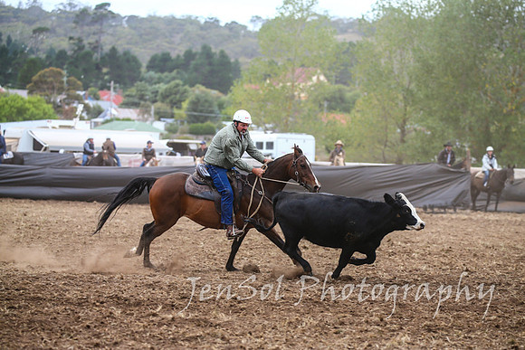 NimmitabelCampdraft2017_2582