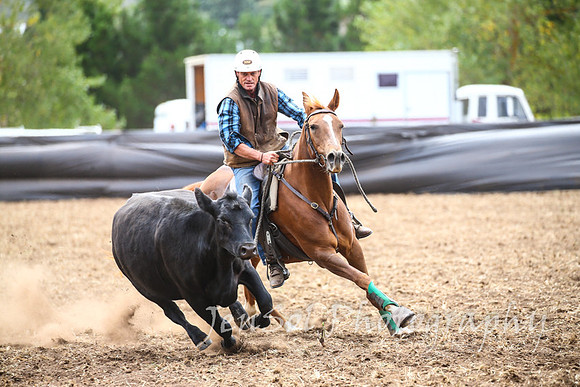 NimmitabelCampdraft2017_2769
