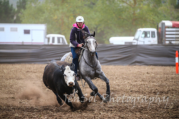 NimmitabelCampdraft2017_2239