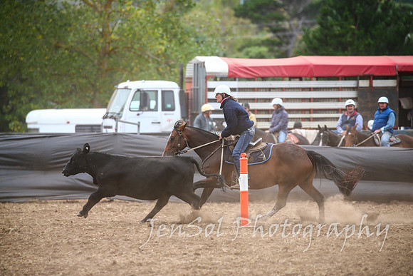 NimmitabelCampdraft2017_2384