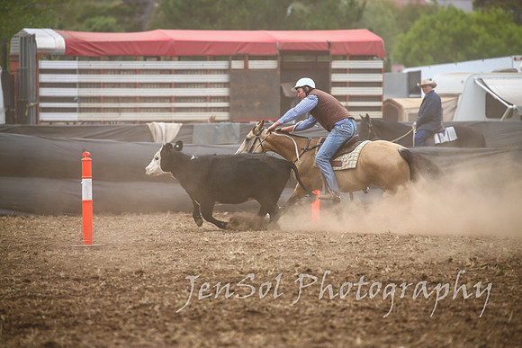 NimmitabelCampdraft2017_2497