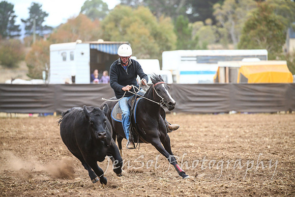 NimmitabelCampdraft2017_2668