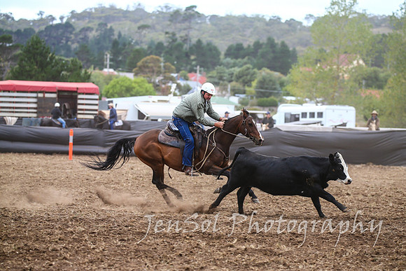 NimmitabelCampdraft2017_2584