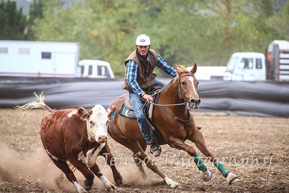 NimmitabelCampdraft2017_3088