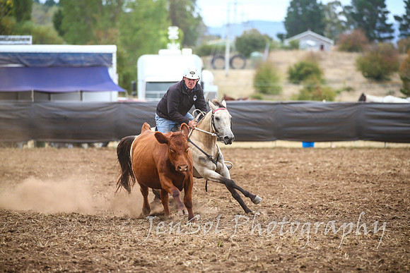 NimmitabelCampdraft2017_2412
