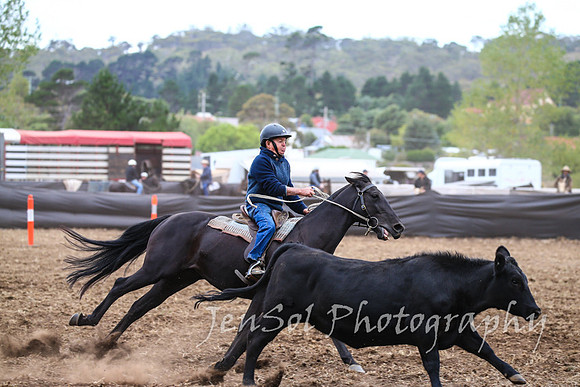NimmitabelCampdraft2017_2571