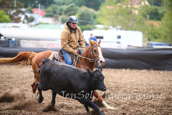 NimmitabelCampdraft2017_3149