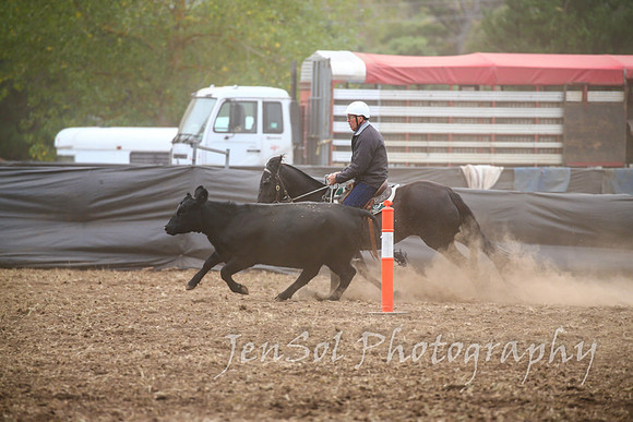 NimmitabelCampdraft2017_2235