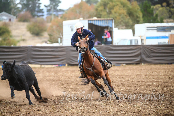 NimmitabelCampdraft2017_2613
