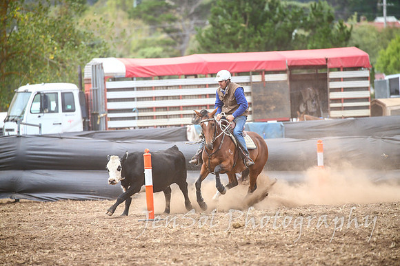 NimmitabelCampdraft2017_3306