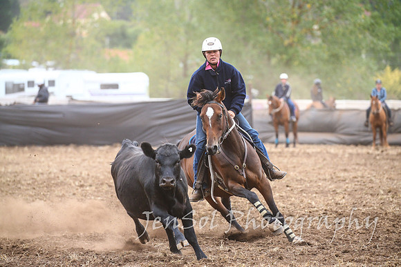 NimmitabelCampdraft2017_2379