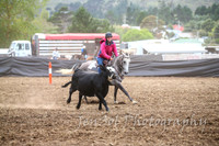 NimmitabelCampdraft2017_2166