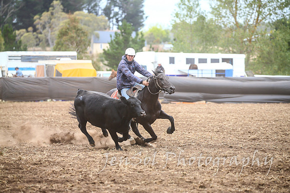 NimmitabelCampdraft2017_3214