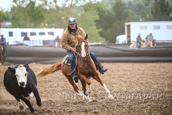 NimmitabelCampdraft2017_2662